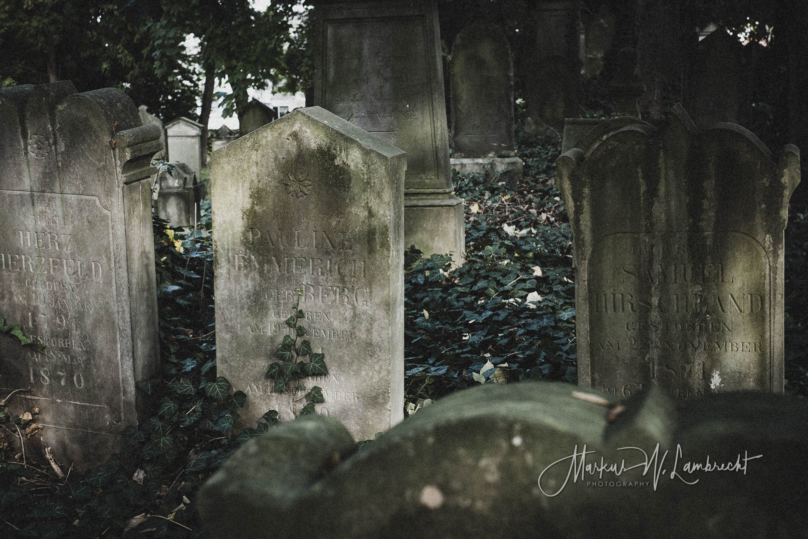 Steinheim (Westfalen), Jüdischer Friedhof